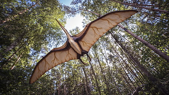 Low angle view of pterosaur replica flying in forest