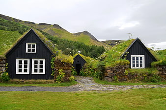 Traditional Icelandic turf houses with grass roofs in green landscape