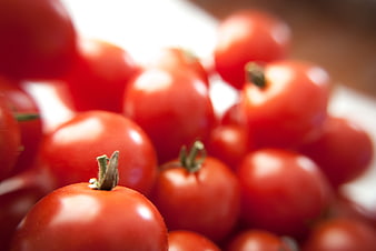 Close-up of fresh red tomatoes with shallow depth of field