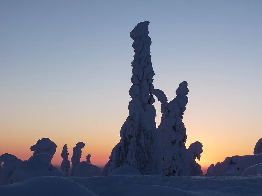 Snow-covered trees silhouetted against a winter sunset sky