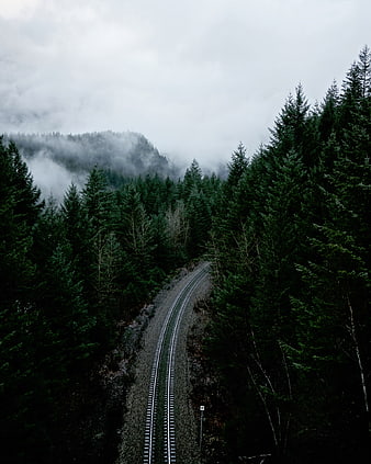 Foggy train tracks winding through a dark pine forest