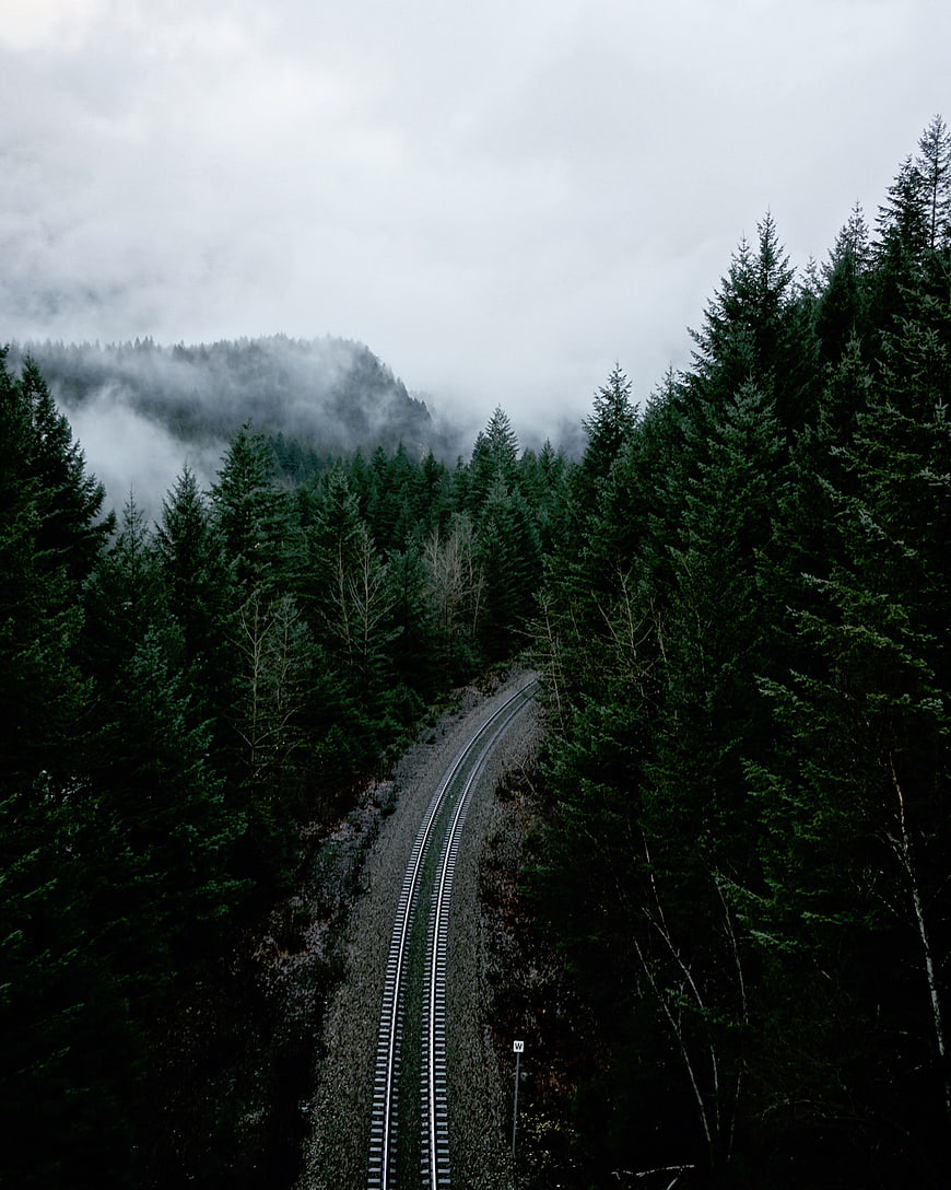 Foggy train tracks winding through a dark pine forest