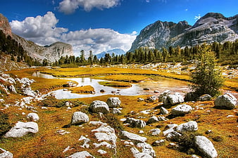 Scenic Alpine Meadow with Stream and Rocky Mountains