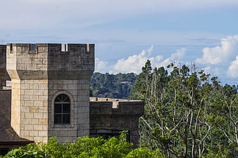 Stone castle tower with lush green forest background