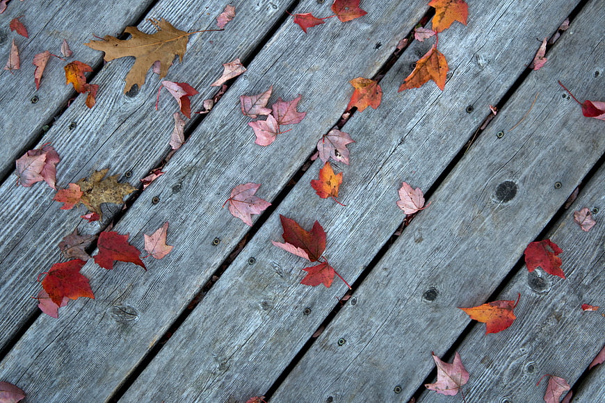 Fallen autumn leaves on weathered wooden deck planks