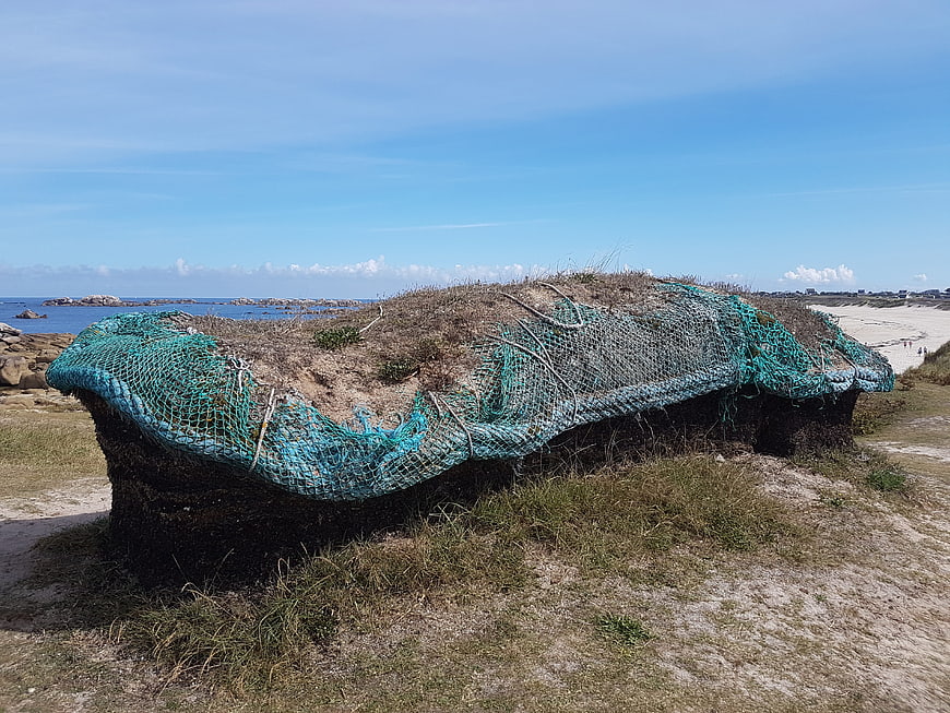 Coastal sand dune covered with green erosion control netting