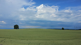 Serene Green Field with Solitary Tree Under Blue Sky