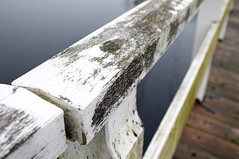 Close-up of weathered white wooden railing by water