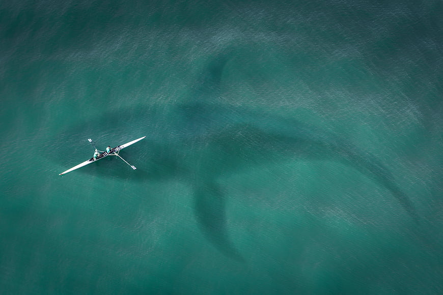 Aerial view of rowing boat and large shark shadow in turquoise ocean