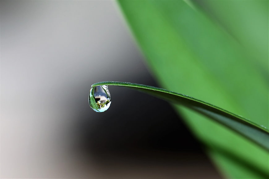 Macro water droplet on green leaf tip with reflection