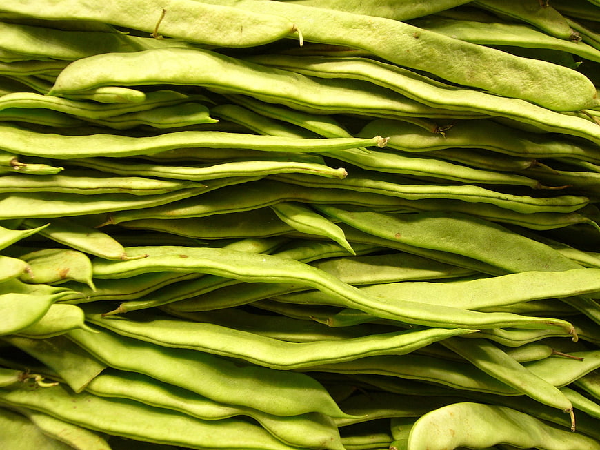 Close-up of fresh green broad beans piled together