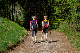 Two women nordic walking on a forest trail