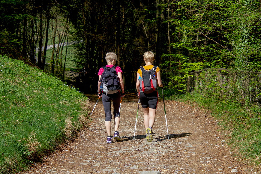 Two women nordic walking on a forest trail