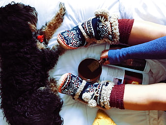 Cozy winter morning with dog, tea, and slippers on bed