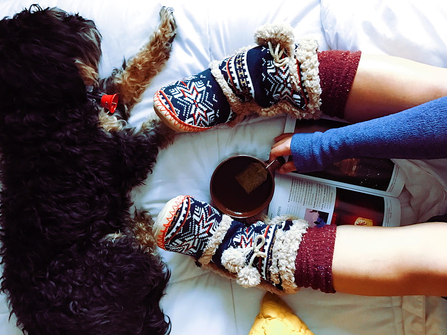 Cozy winter morning with dog, tea, and slippers on bed