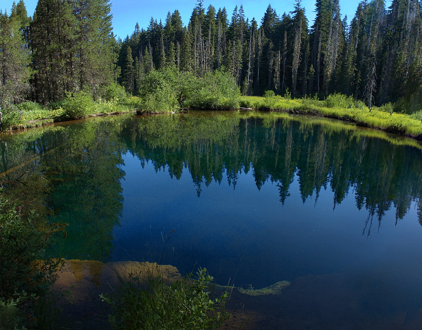 Serene forest pond with perfect tree reflections in clear blue water