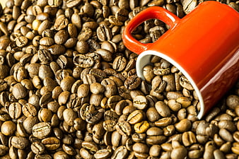 Red Coffee Cup Spilled on Roasted Coffee Beans