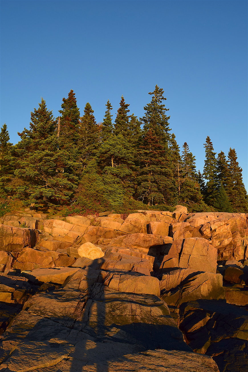 Golden Hour Sunlight on Granite Rocks and Pine Trees