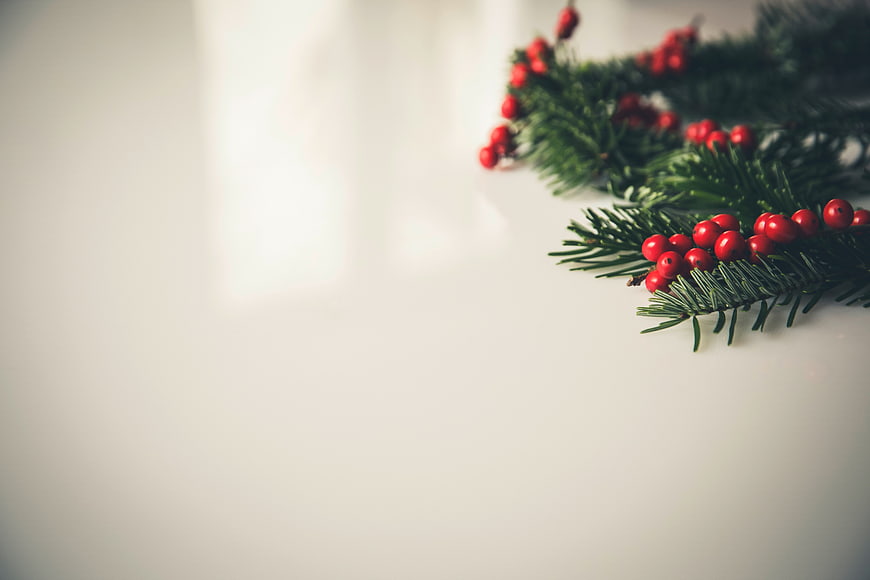 Christmas fir branches with red berries on white background