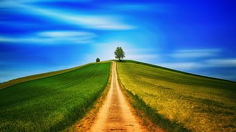 Dirt Road Leading to Hilltop Tree Under Blue Sky