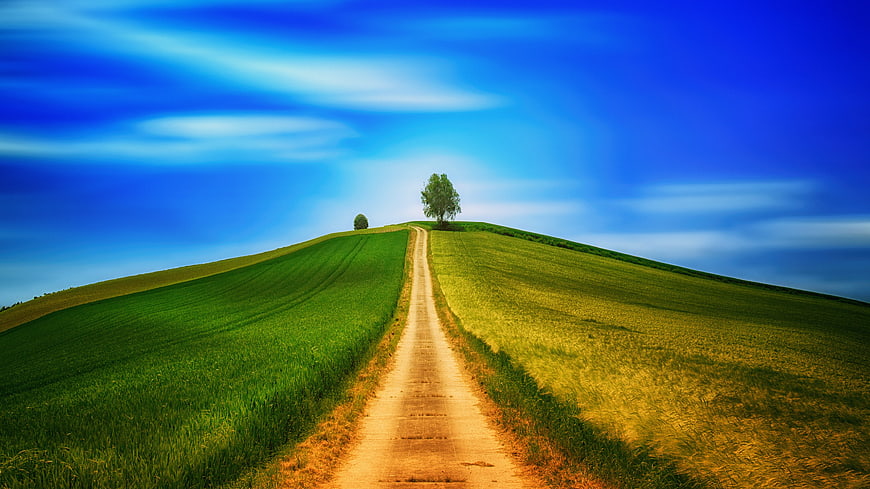 Dirt Road Leading to Hilltop Tree Under Blue Sky