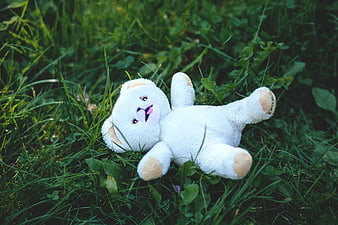 White teddy bear lying on green grass in nature