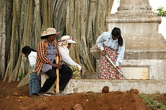 Women working and resting near ancient tree roots in Sri Lanka