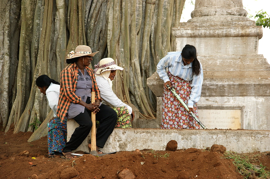 Women working and resting near ancient tree roots in Sri Lanka