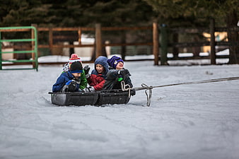 Children sledding together in winter snow