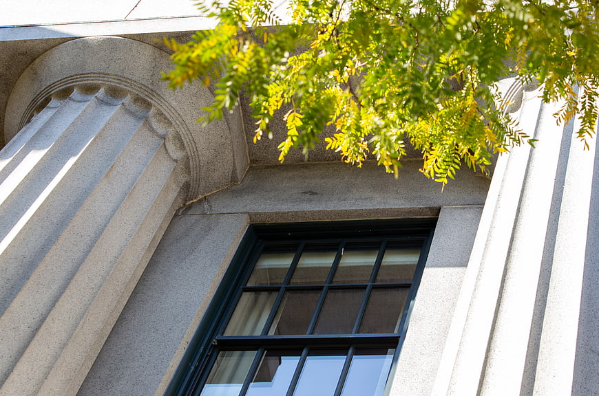 Classical stone columns and window with green leaves