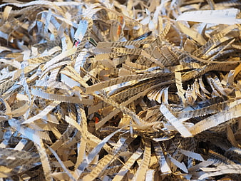 Close-up of shredded paper strips with visible text