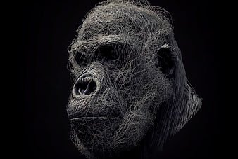 Abstract 3D Wireframe Gorilla Head on Black Background