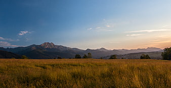 Golden Meadow Field with Mountain Range at Sunset