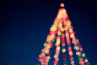Abstract Bokeh Christmas Tree Lights on Dark Blue Background