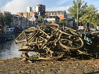 Rusted Bicycle Graveyard Pile on Canal Bank in Groningen