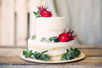 Rustic Naked Wedding Cake with Red Flowers and Eucalyptus
