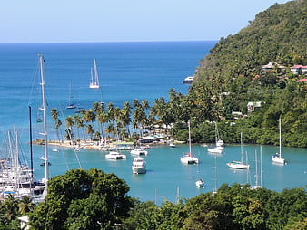 Tropical Caribbean Marina with Yachts and Lush Green Hills