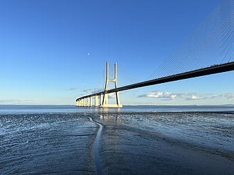 Cable-stayed bridge over calm water at low tide