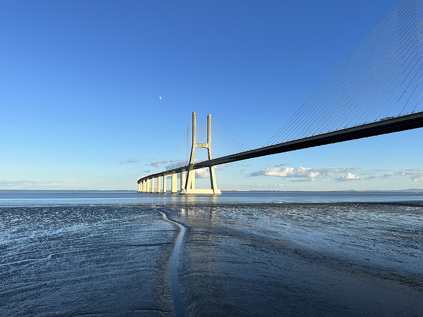 Cable-stayed bridge over calm water at low tide