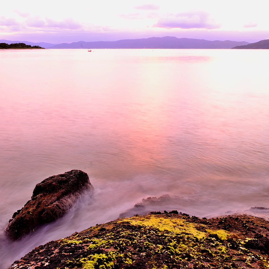 Long Exposure Pink Sunset Over Mossy Coastal Rocks