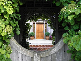 Wooden garden gate with hydrangeas framing a house entrance