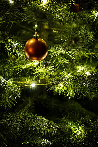 Close-up of Gold Christmas Ornament on Lit Pine Tree