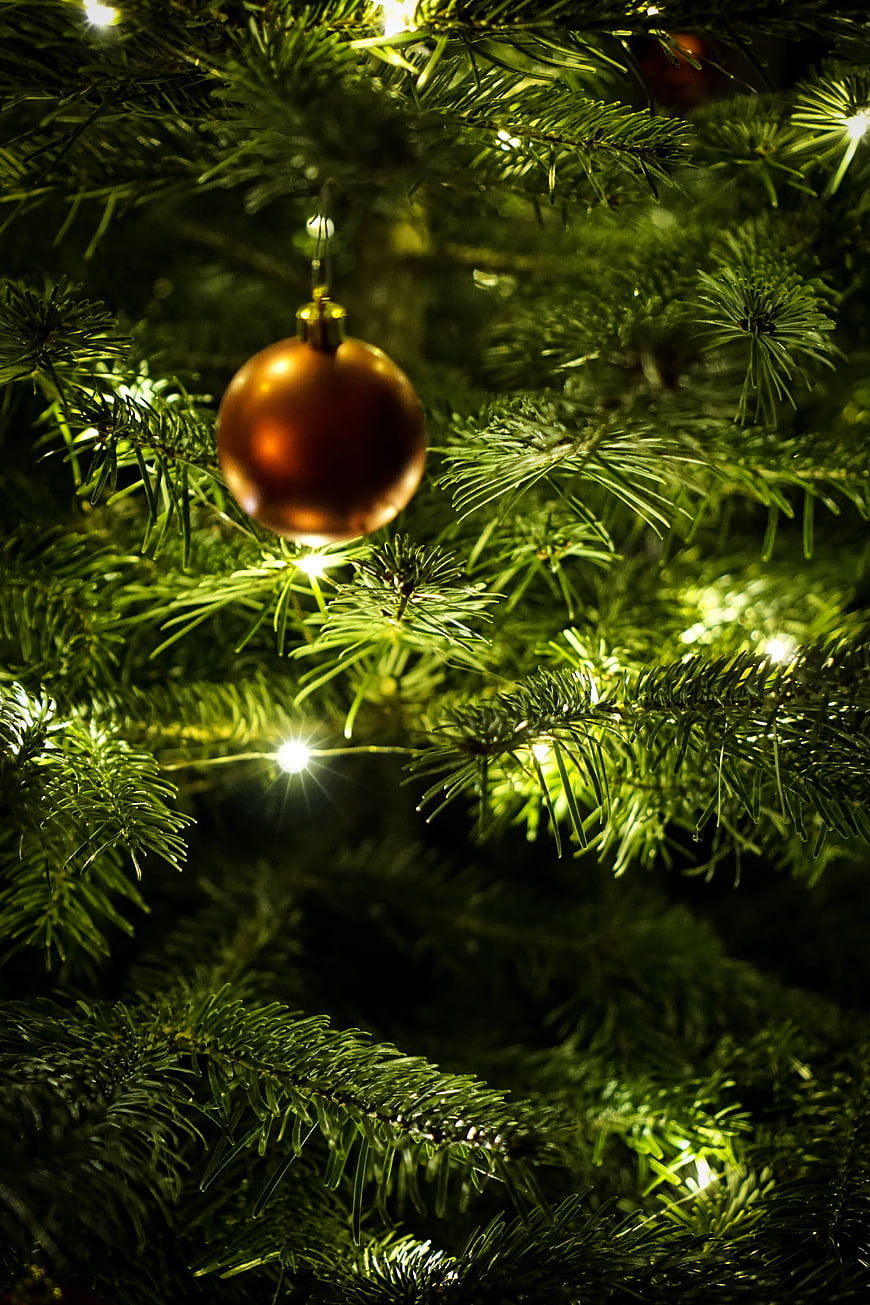 Close-up of Gold Christmas Ornament on Lit Pine Tree