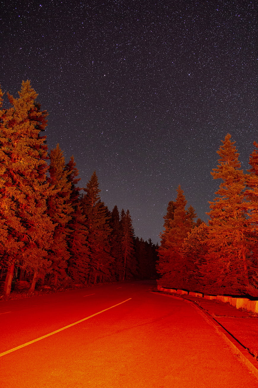 Red illuminated road through forest under starry night sky