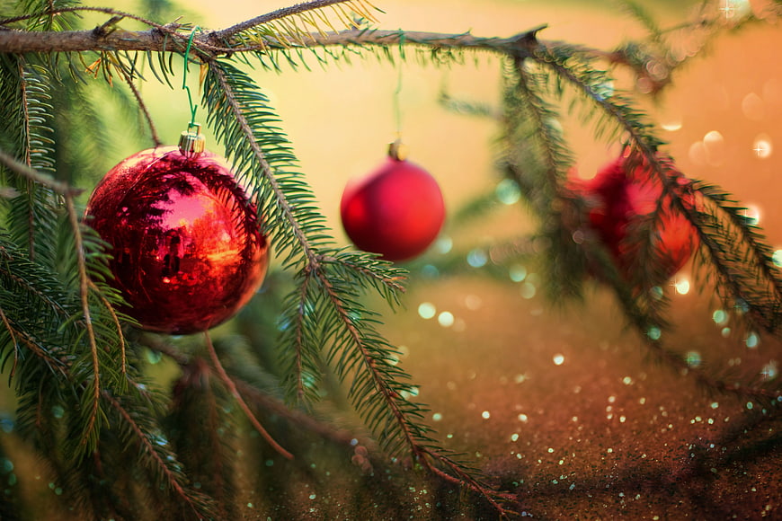 Red Christmas Ornaments on Pine Branches with Bokeh