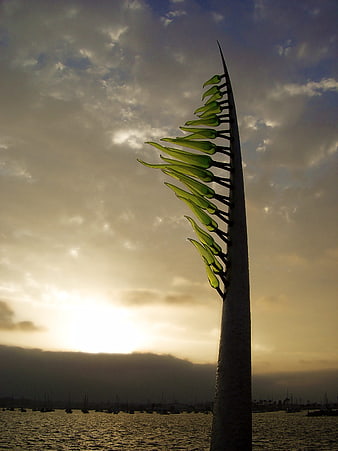Glass Tree Sculpture Silhouette at Sunset Over Harbor