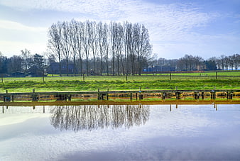 Serene landscape with tall trees reflected in calm water