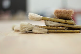 Natural Bristle Paint Brushes on Wooden Surface