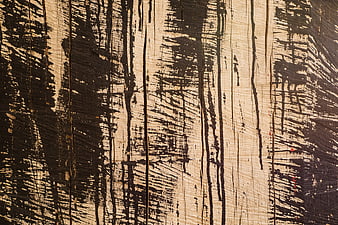 Rustic Weathered Wood Plank Texture Background