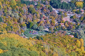 Aerial View of Colorful Autumn Forest with Playground